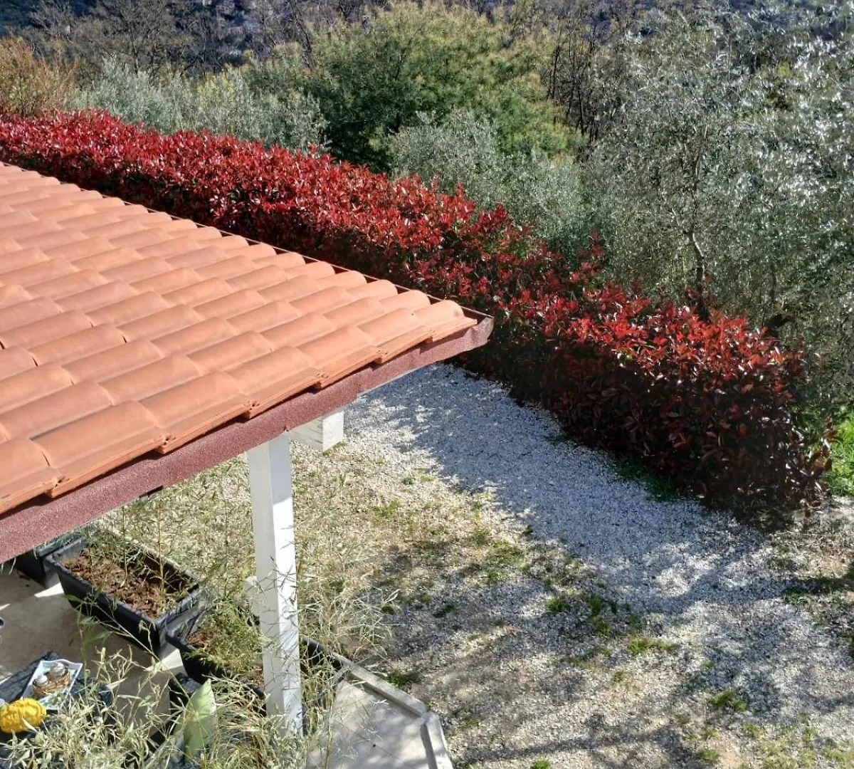 Guest house Il Cedro Hotel Montecatini Terme Italy