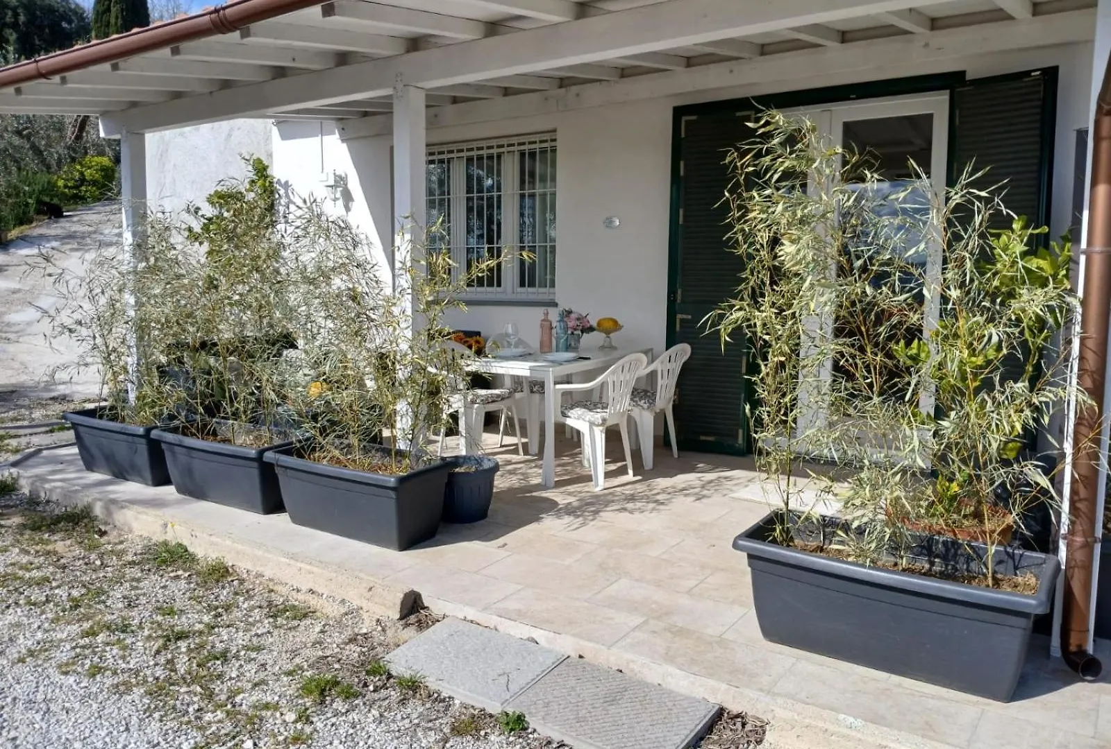Guest house Il Cedro Hotel Montecatini Terme