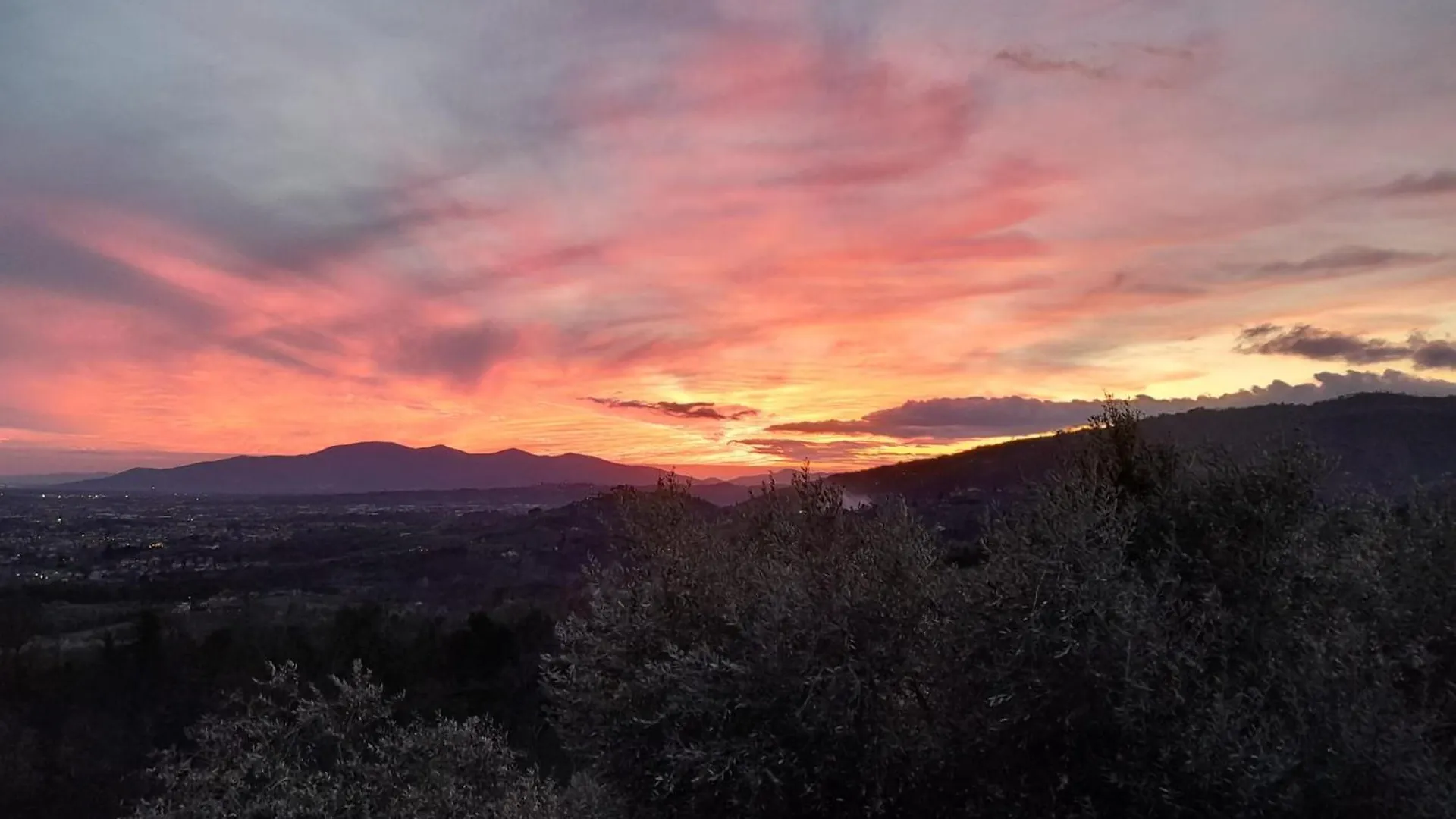 Guest house Il Cedro Hotel Montecatini Terme Italy